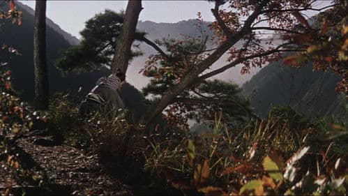 大菩薩峠 竜神の巻 Bild 3