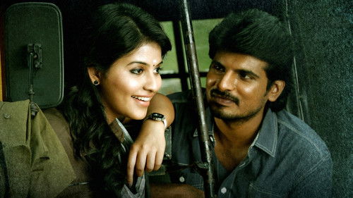 வத்திக்குச்சி Bild 4