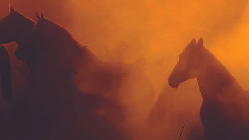 Free Spirit - Mustangs in Gefahr Bild 1