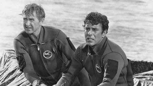 Die Tollkühnen Bild 1