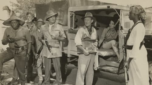 Die Wurzeln des Himmels Bild 3