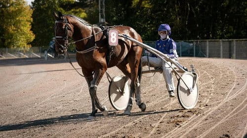 2 unter Millionen Bild 3