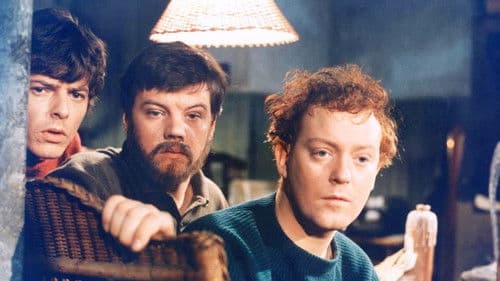 Det er ikke appelsiner - det er heste Bild 1