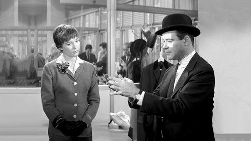 Das Appartement Bild 8