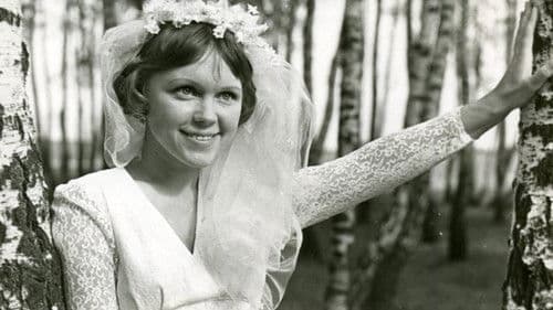 Diamantenpfade Bild 1