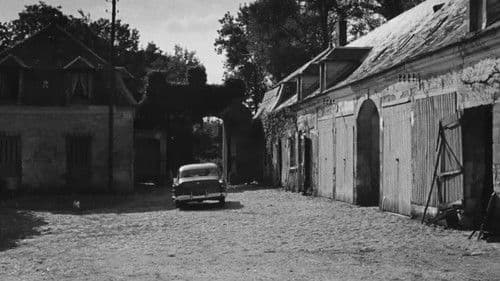 Les Aristocrates Bild 2