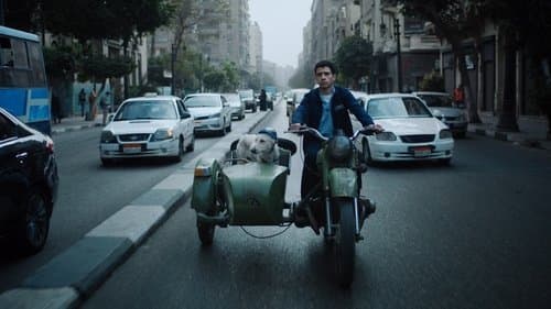 البحث عن منفذ لخروج السيد رامبو Bild 1