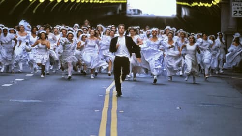 Der Junggeselle Bild 4