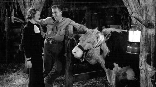 Rhythm on the Range Bild 3