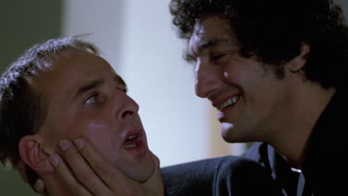 Der Schlitzer Bild 4