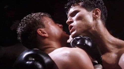 Cock & Bull Story Bild 1