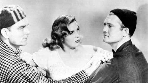 Thunder in the Pines Bild 1