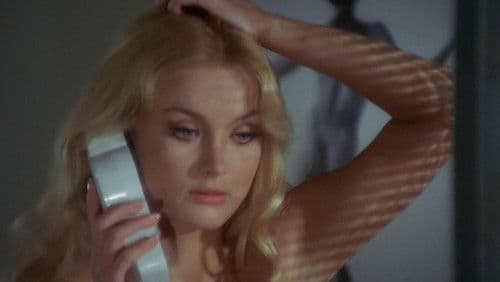 Der schwarze Leib der Tarantel Bild 4