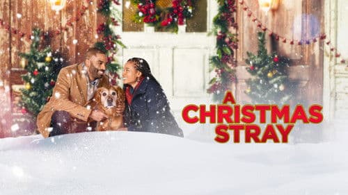 A Christmas Stray Bild 3