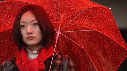 たとえば檸檬 Bild 1