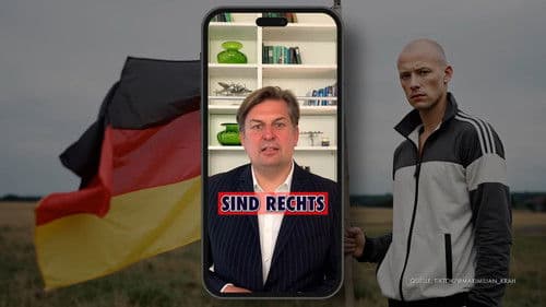 Die TikTok-Armee der AfD Bild 2