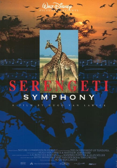 Serengeti - Circle of Life