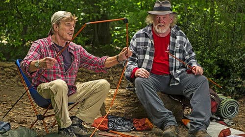 Picknick mit Bären Bild 2