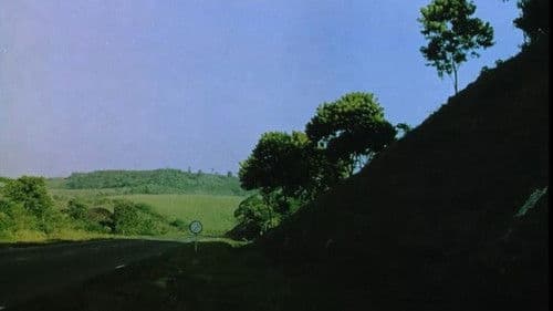 O Lobisomem: O Terror da Meia-Noite Bild 6