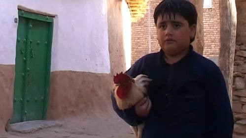 دەردەسەرییەکانی کوڕبوون Bild 1