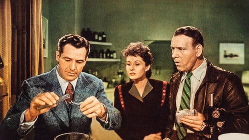 The Shadow Returns Bild 1