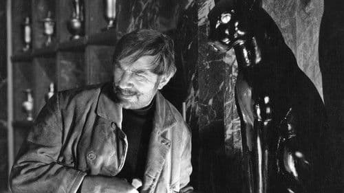 The Black Cat Bild 4