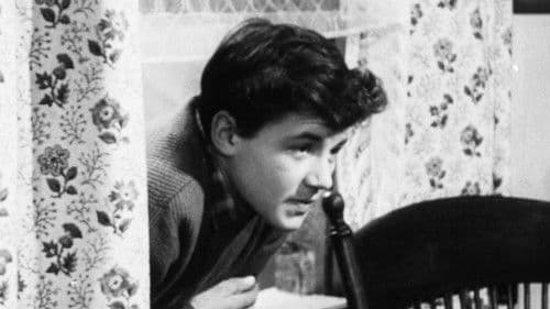 Wings of Mystery Bild 1