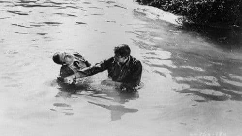 Weiße Banditen Bild 3