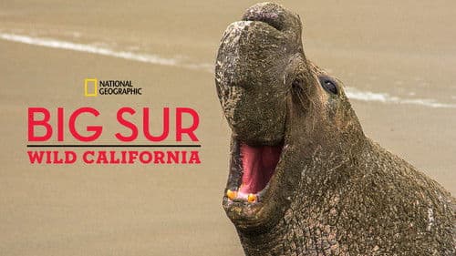 Big Sur - Kaliforniens wilde Küste Bild 3