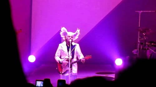 Mister Mystère Bild 1