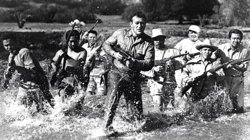 Stahlgewitter Bild 1