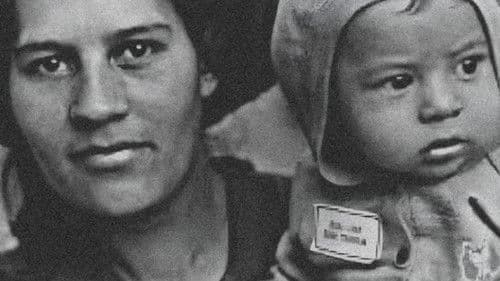 Terra Para Rose Bild 2