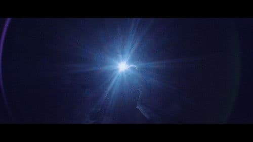 The Five Fingers of a Dog Bild 4