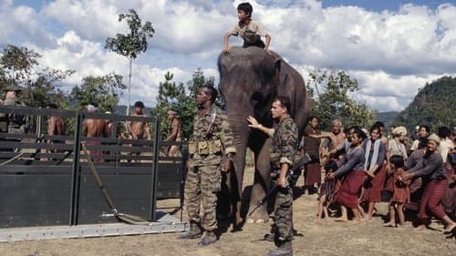 Operation Dumbo Bild 1