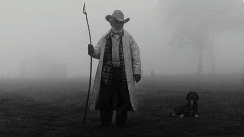 Dioses de México Bild 2