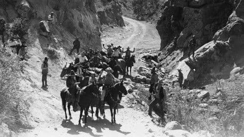 The Hurricane Horseman Bild 1