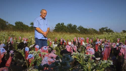 Eating Animals Bild 1