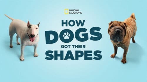 How Dogs Got Their Shapes Bild 3