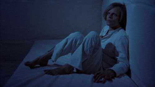 Nachts, wenn Dracula erwacht Bild 7