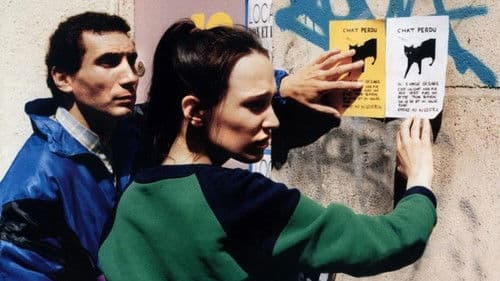 ...und jeder sucht sein Kätzchen Bild 1