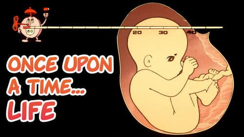 Es war einmal... das Leben Bild 6