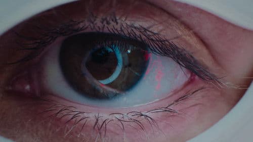 50 STEPS OF BEAUTY Bild 1