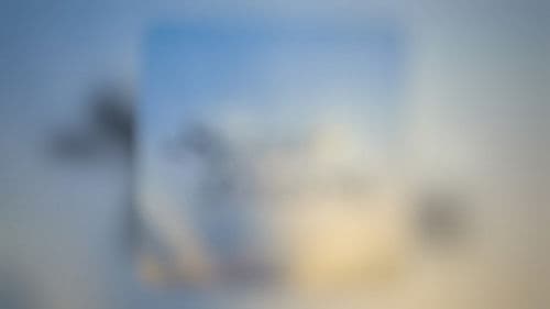 Social Dreams Series Bild 1