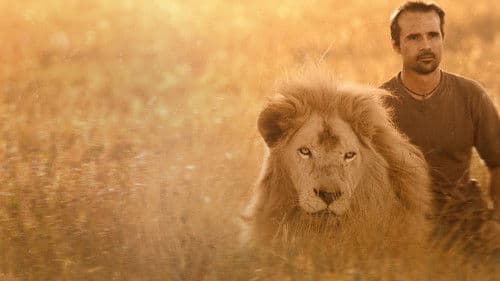 The Lion Ranger Bild 8