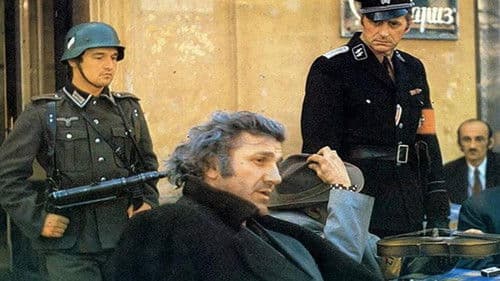 Crvena zemlja Bild 1