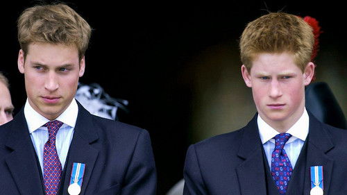 The Princes and the Press Bild 1