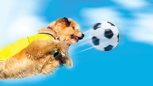 Soccer Dog: European Cup Bild 1