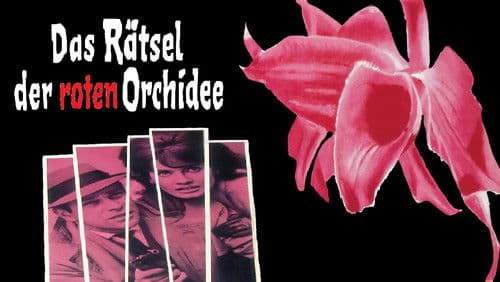 Das Rätsel der roten Orchidee Bild 6