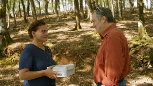 Amsel im Brombeerstrauch Bild 7