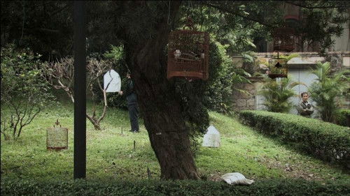 A Última Vez Que Vi Macau Bild 3